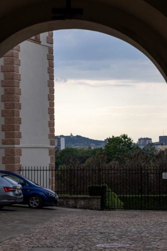 IMG_5351