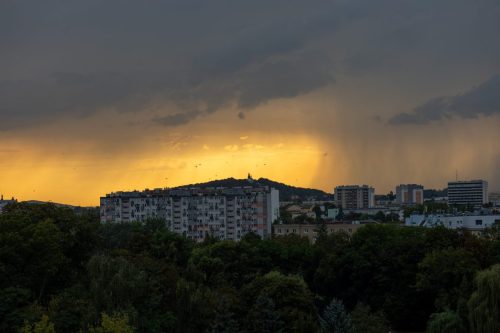 IMG_5462