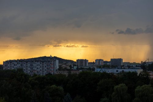 IMG_5467